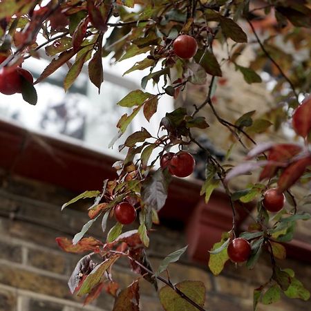 Beautiful London Home Sleeps 6, 2 Minutes To Metro Bagian luar foto