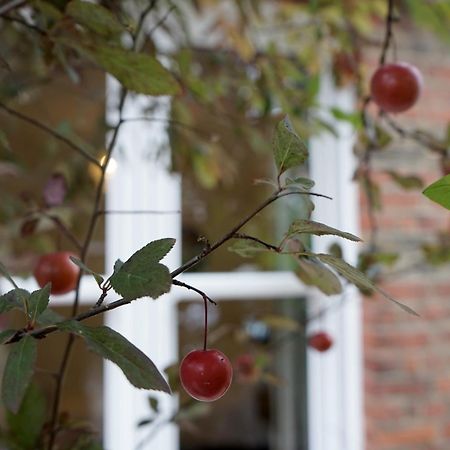 Beautiful London Home Sleeps 6, 2 Minutes To Metro Bagian luar foto